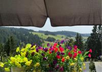 s'Felix - Übernachten bei Freunden - B&B Schönwald