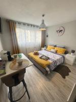 Studio Le Voyageur 24 m2 - B&B Lyon