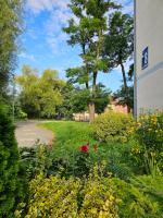Apartament Za fosą - Bed and Breakfast Malbork