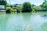 四国旅に最適 川まで徒歩10秒の昭和レトロな一軒家 - B&B Nakajima