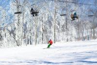 NEW " Fall Season " cozy 2 bed flat with open concept - B&B Scranton