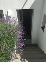 Garten86 - B&B Brema