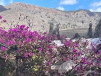 Tierrazul Art Boutique Rose Sweet Suite - B&B Adeje