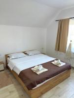 Pensiunea Axenia Ale - B&B