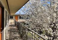 Bright Top Floor-King Bed-Parking-Fast Wi-Fi - Bed and Breakfast Walnut Creek