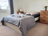 Beautiful room- private bathroom - B&B Harrow
