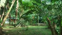 Casa Moabi - B&B Puerto Viejo de Sarapiqui