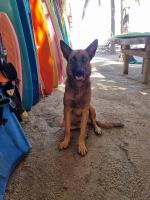 Playa la saladita - Chambres d’hôtes Temalhuacán