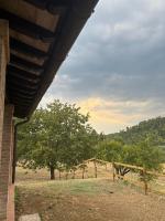 Casale dei Gelsomini - Country House - B&B Poggio
