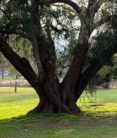 Familiekamer met Eigen Badkamer