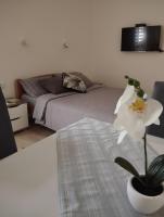 Oaza studio 2 - B&B Soko Banja