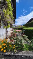 Completely refurbished comfortable apartment - B&B Goldswil