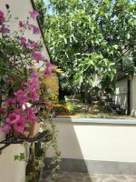 SanMarco54 - Ferienwohnung Cesena