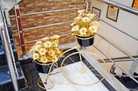 2 Bed Family Home - Ferienwohnung Lahore