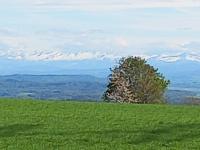 Pension zur frohen Einkehr - Chambres d’hôtes Tengen