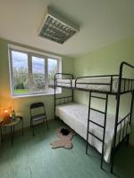 Bunk Bed in Mixed Dormitory Room
