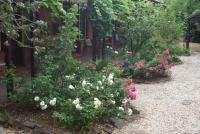 Motel Maldon - B&B Maldon