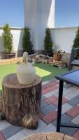 David PENTHOUSE - B&B Sibiu