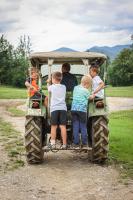 Brunnlochnerhof - B&B Wackersberg