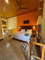 Green turtle - B&B Tangalle