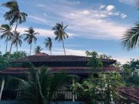 Green turtle - B&B Tangalle