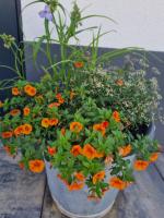 valbel - B&B St Anton am Arlberg