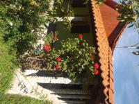Casa Matteo - B&B Arefu