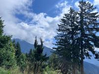 Chalet les jouges - B&B Conthey