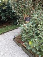 Camera Matrimoniale con Patio