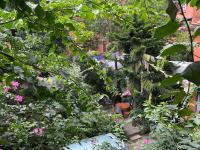 Familiesuite met Balkon