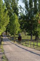 Hotel Apartamento Los Villares - Bed and Breakfast Los Villares de Soria