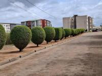 Sweet Home - B&B Maputo