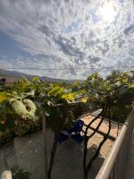 Appartamento con Vista Montagna