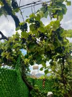 K Bougainville Albania - B&B Orikum