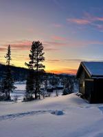 Brand new cabin on the sunny side of Gaustatoppen with a beautiful view - Chambres d'hôtes Tuddal