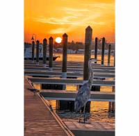 Private King Bed Suite-Near AMI Beach-Walk DTown. - B&B Bradenton