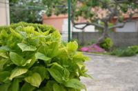 Apartment Mladenka - B&B Murter