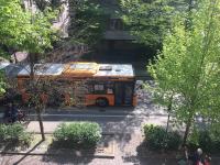 Casa Carlotta - B&B Mestre