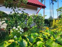 Brzozowa Chatka - Dom nad Jeziorem - Wellness & Ceragem - B&B Kowalewo