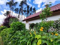 Brzozowa Chatka - Dom nad Jeziorem - Wellness & Ceragem - B&B Kowalewo