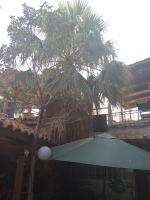 Tryfonapartment school1922 - B&B Krousón