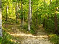 YMCA Trout Lodge - Bed and Breakfast Potosi