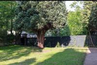 3-Bed Cottage Sleeps 8 Walk to Thames Garden - Ferienwohnung Hampton