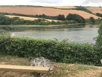 Gannel View Apartment - Chambres d’hôtes Newquay