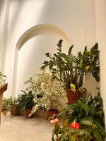 Casa Stella - B&B Borzonasca