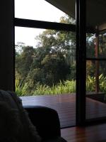 Hideaway Falls - Bunya Cottage - B&B Mapleton