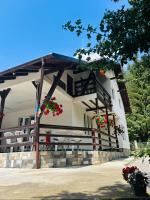 Vila Iulia - Bed and Breakfast Trăisteni