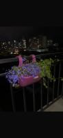 Family apartments - B&B Batumi