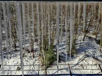 Alpine Dream - Retreat modern Sinaia - 8 pers -AC - B&B Sinaia