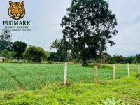 Pug Mark Jungle Resort - Masinagudi - B&B Masinagudi